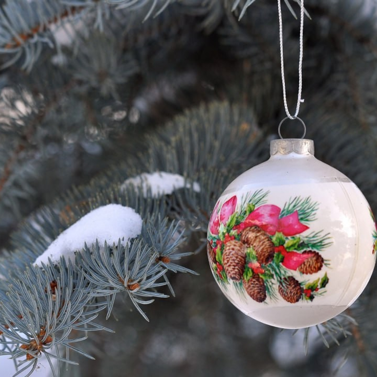 Новости и события Шалово-парк Серебрянные ключи. Оздоровительный комплекс Шалово-парк Серебряные ключи