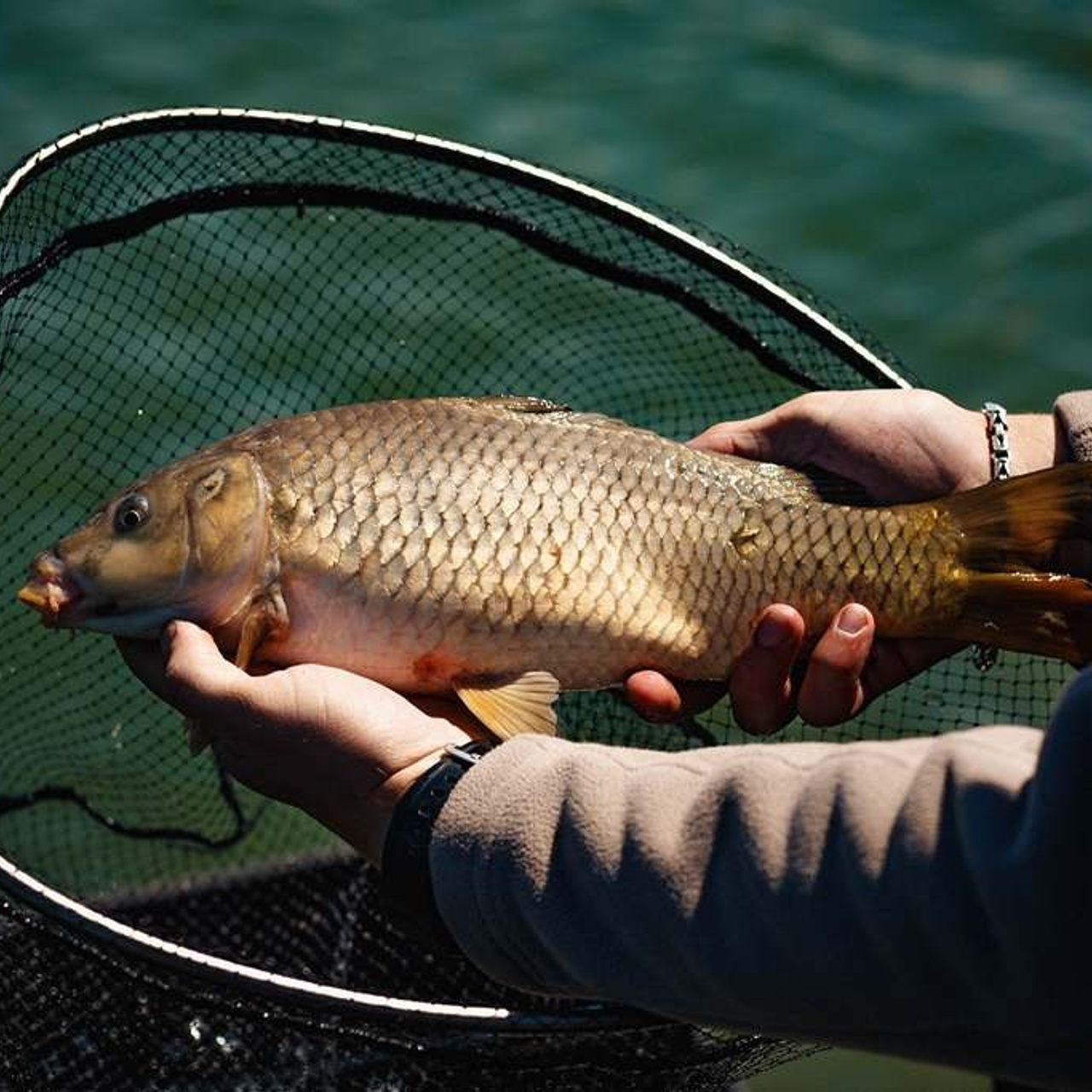 Новости и события Шалово-парк Серебрянные ключи. Оздоровительный комплекс Шалово-парк Серебряные ключи