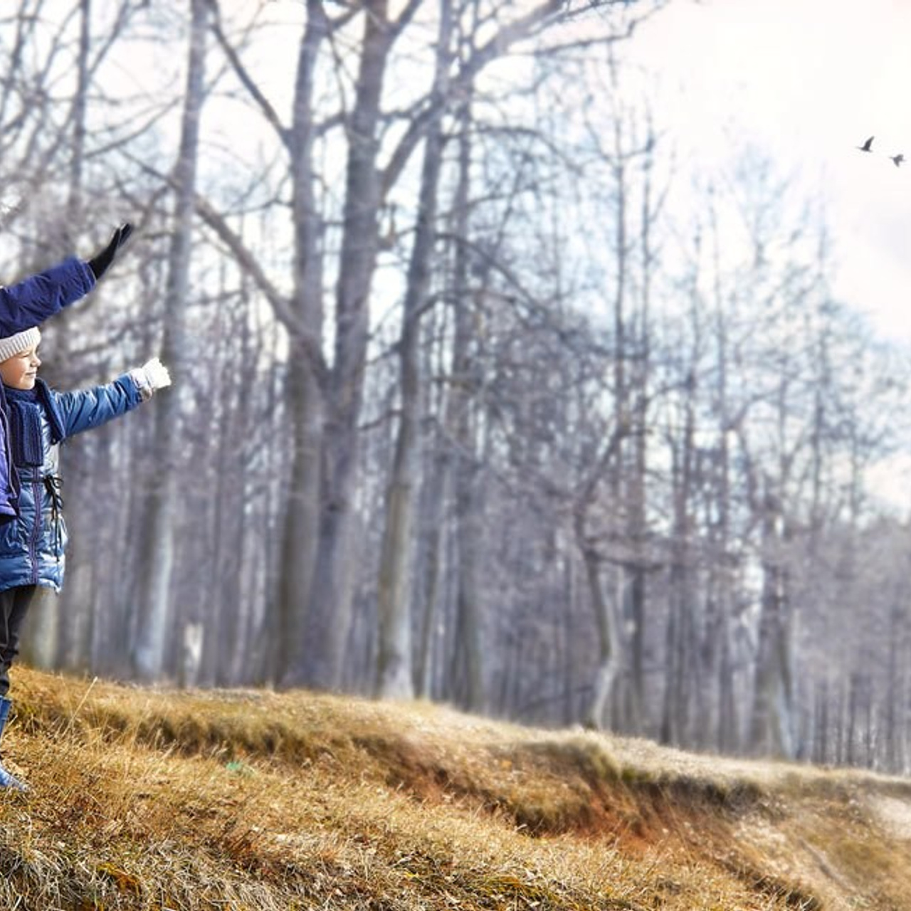 Новости и события Шалово-парк Серебрянные ключи. Оздоровительный комплекс Шалово-парк Серебряные ключи
