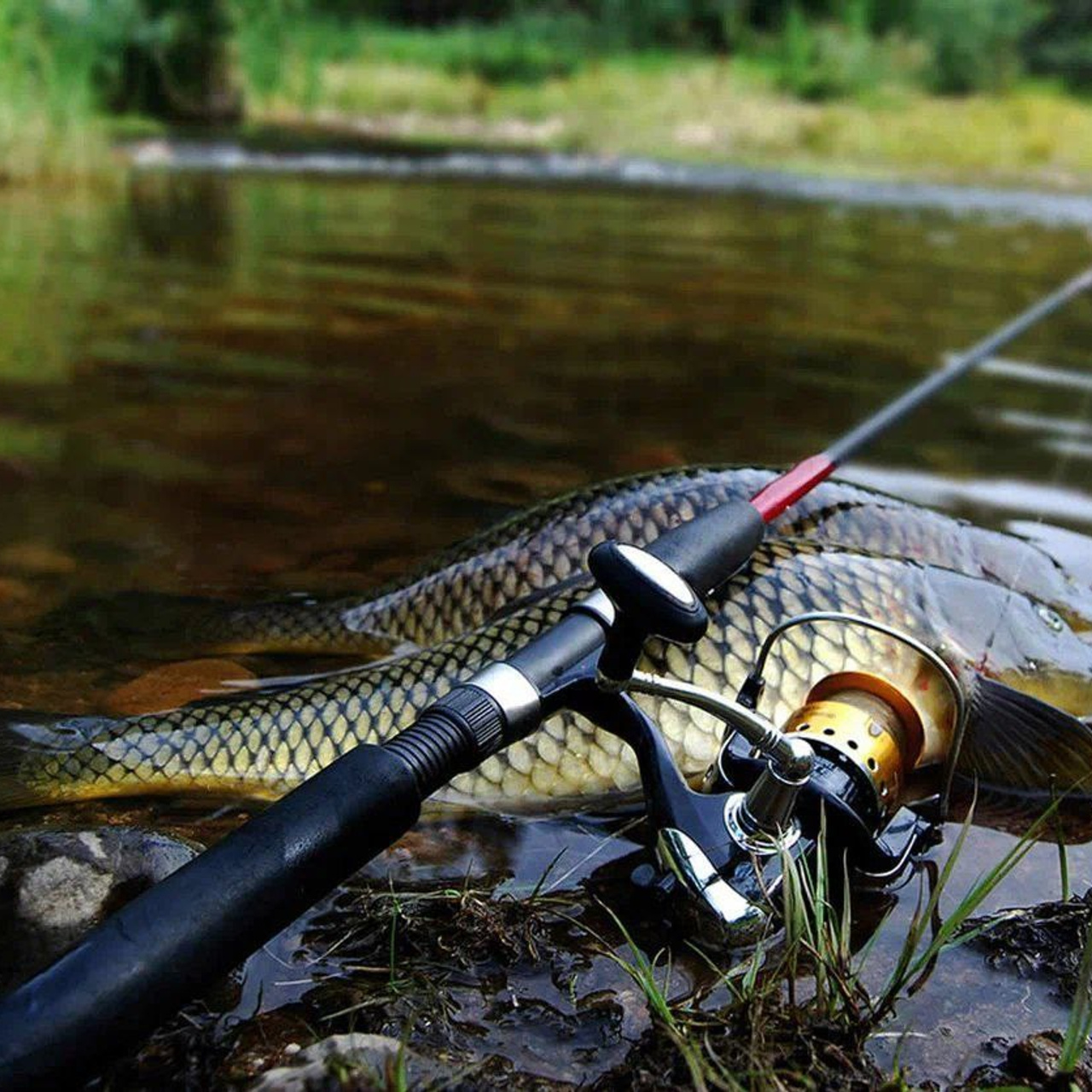 Новости и события Шалово-парк Серебрянные ключи. Оздоровительный комплекс Шалово-парк Серебряные ключи