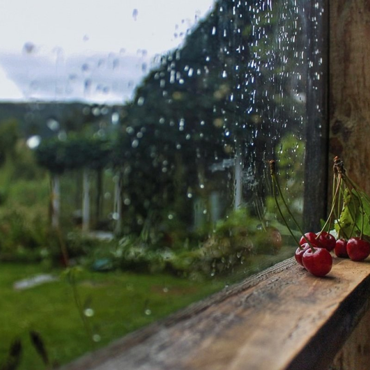Новости и события Шалово-парк Серебрянные ключи. Оздоровительный комплекс Шалово-парк Серебряные ключи