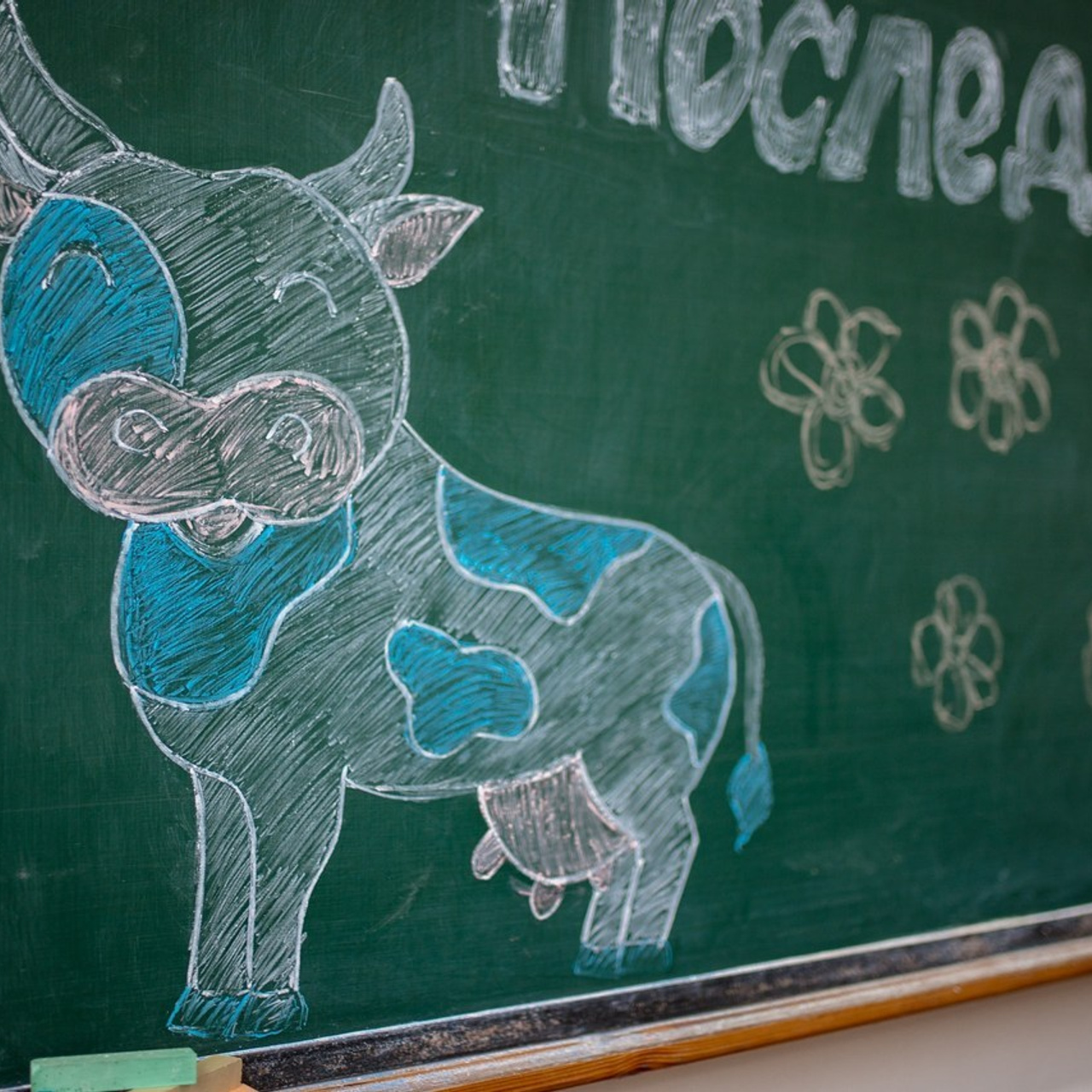 Отзывы. Свадебный фотограф в Чебоксарах Анастасия Иванова