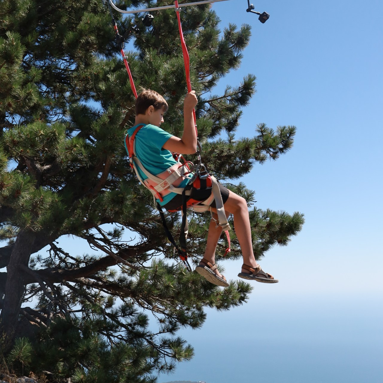Отзывы. Фотограф в Крыму Татьяна Барицкая