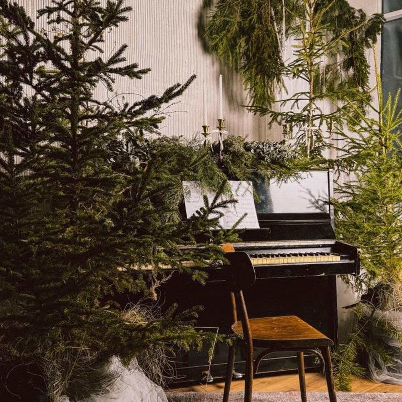 Инфо. Фотограф  г. Набережные Челны, Татарстан — Айгуль Зарипова