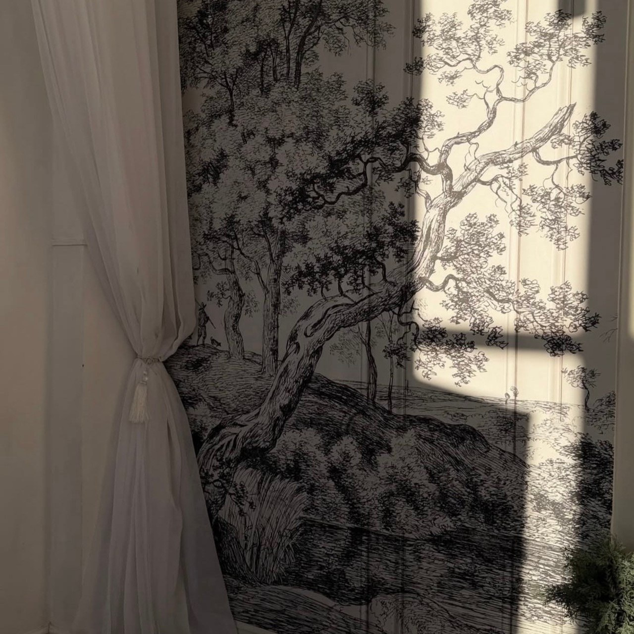 Инфо. Фотограф  г. Набережные Челны, Татарстан — Айгуль Зарипова