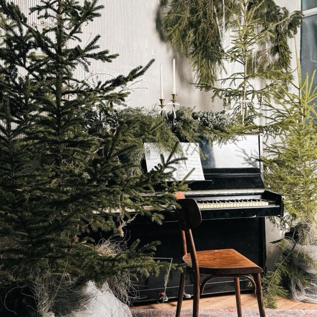 Инфо. Фотограф  г. Набережные Челны, Татарстан — Айгуль Зарипова