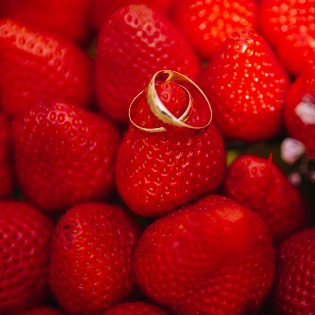 Отзывы. Фотограф  г. Набережные Челны, Татарстан — Айгуль Зарипова