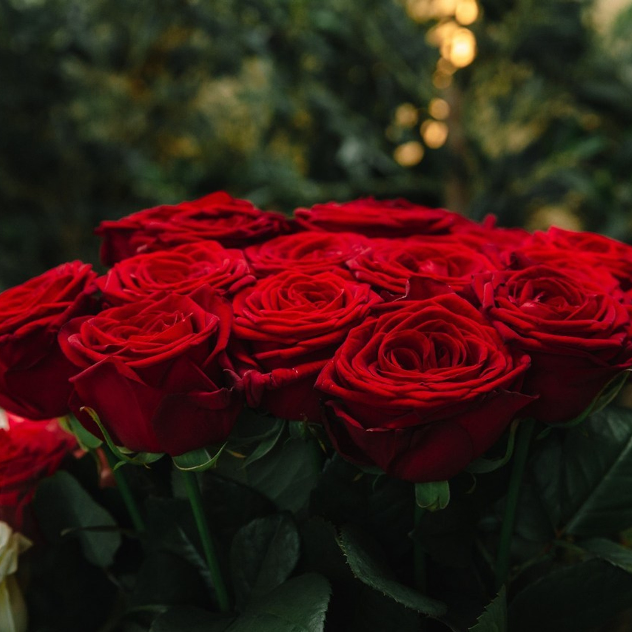 Отзывы. Фотограф  г. Набережные Челны, Татарстан — Айгуль Зарипова