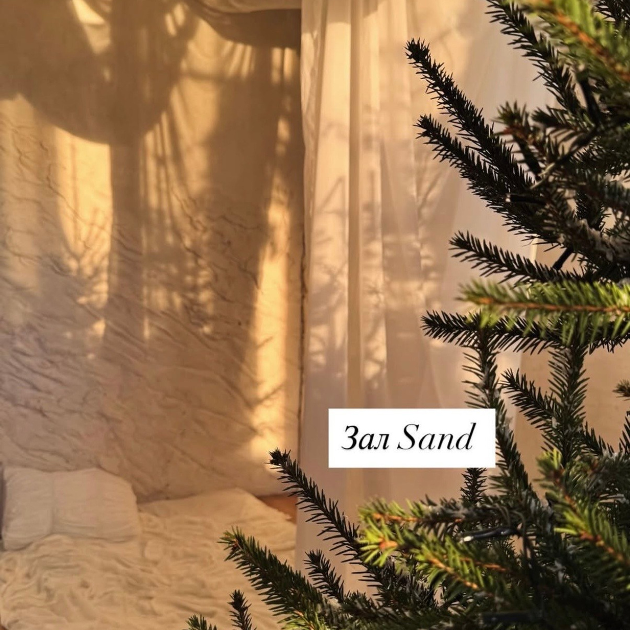 Инфо. Фотограф  г. Набережные Челны, Татарстан — Айгуль Зарипова