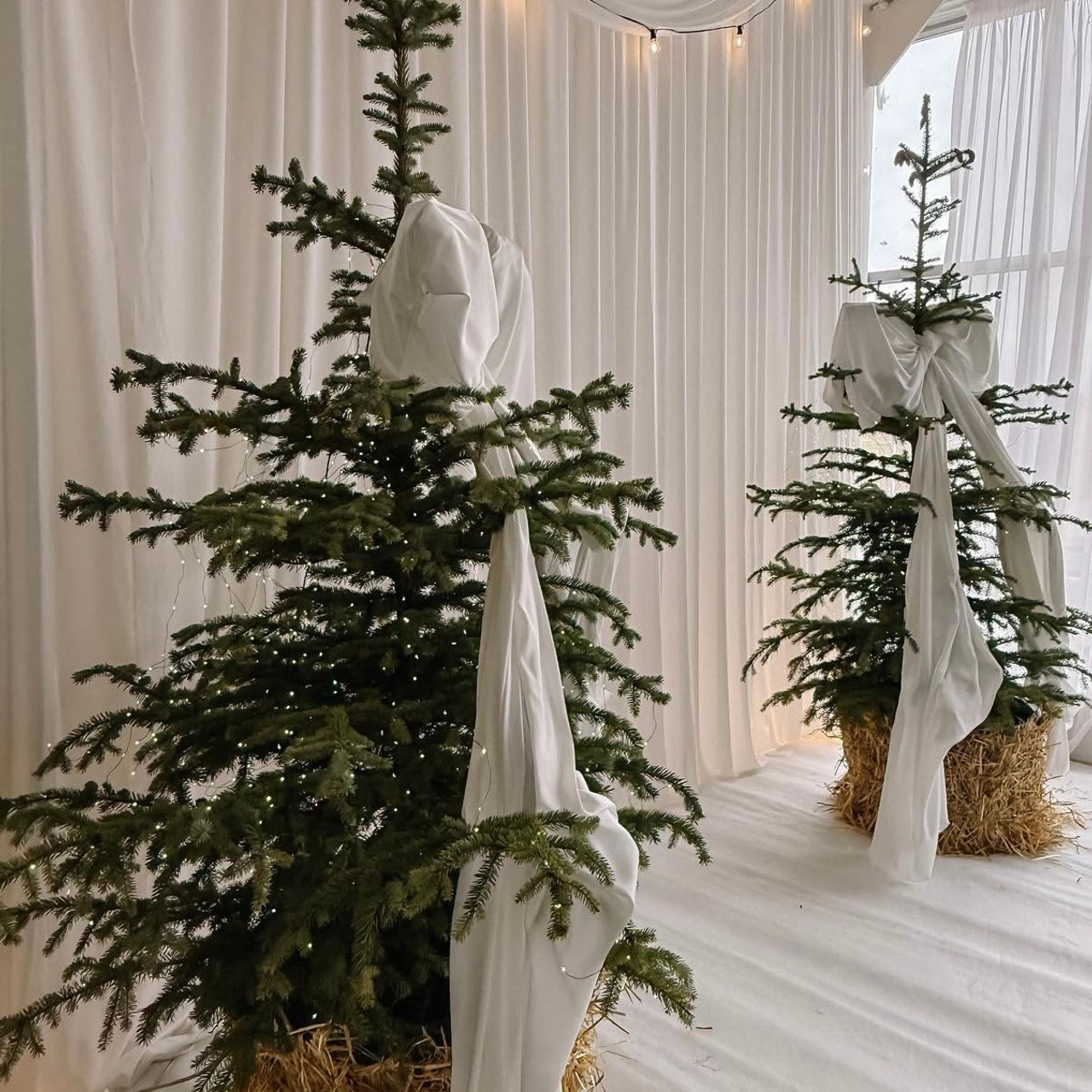 Инфо. Фотограф  г. Набережные Челны, Татарстан — Айгуль Зарипова