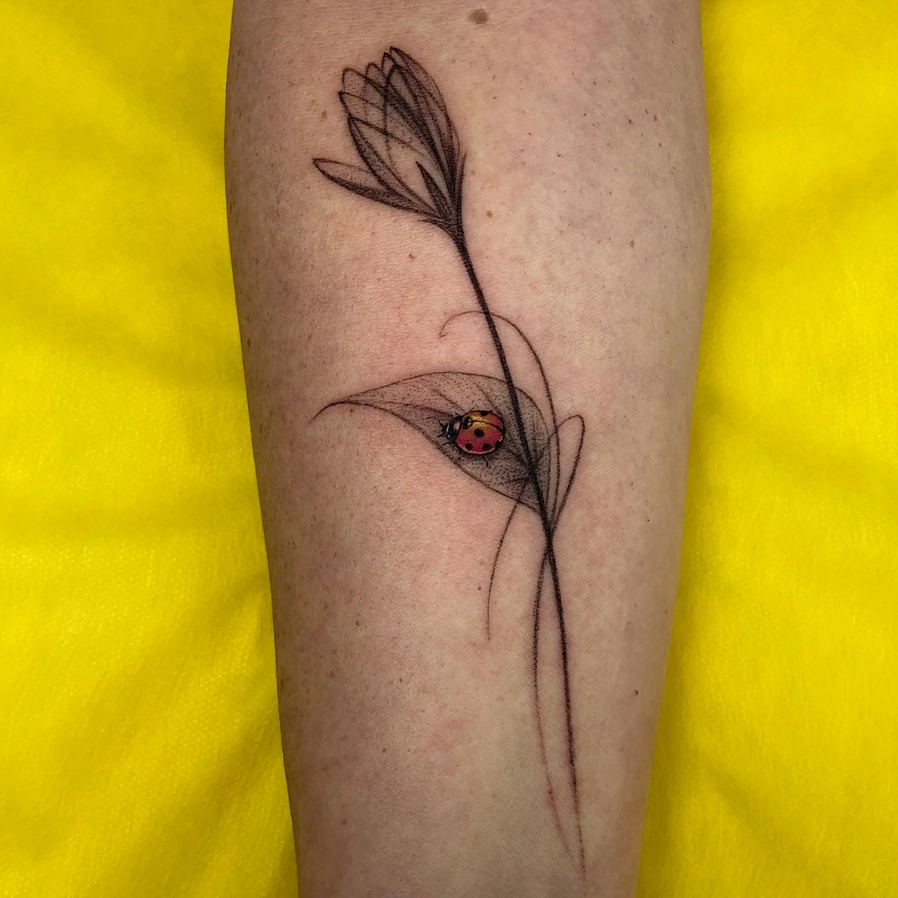 Татуировка (фото). Helixart.ru