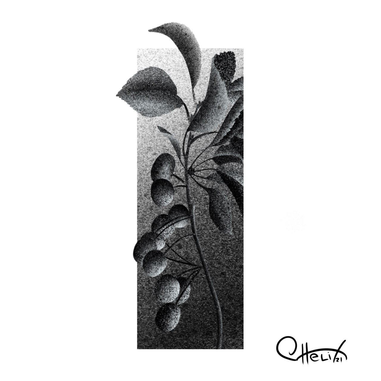 Рисунки (Эскизы). Helixart.ru