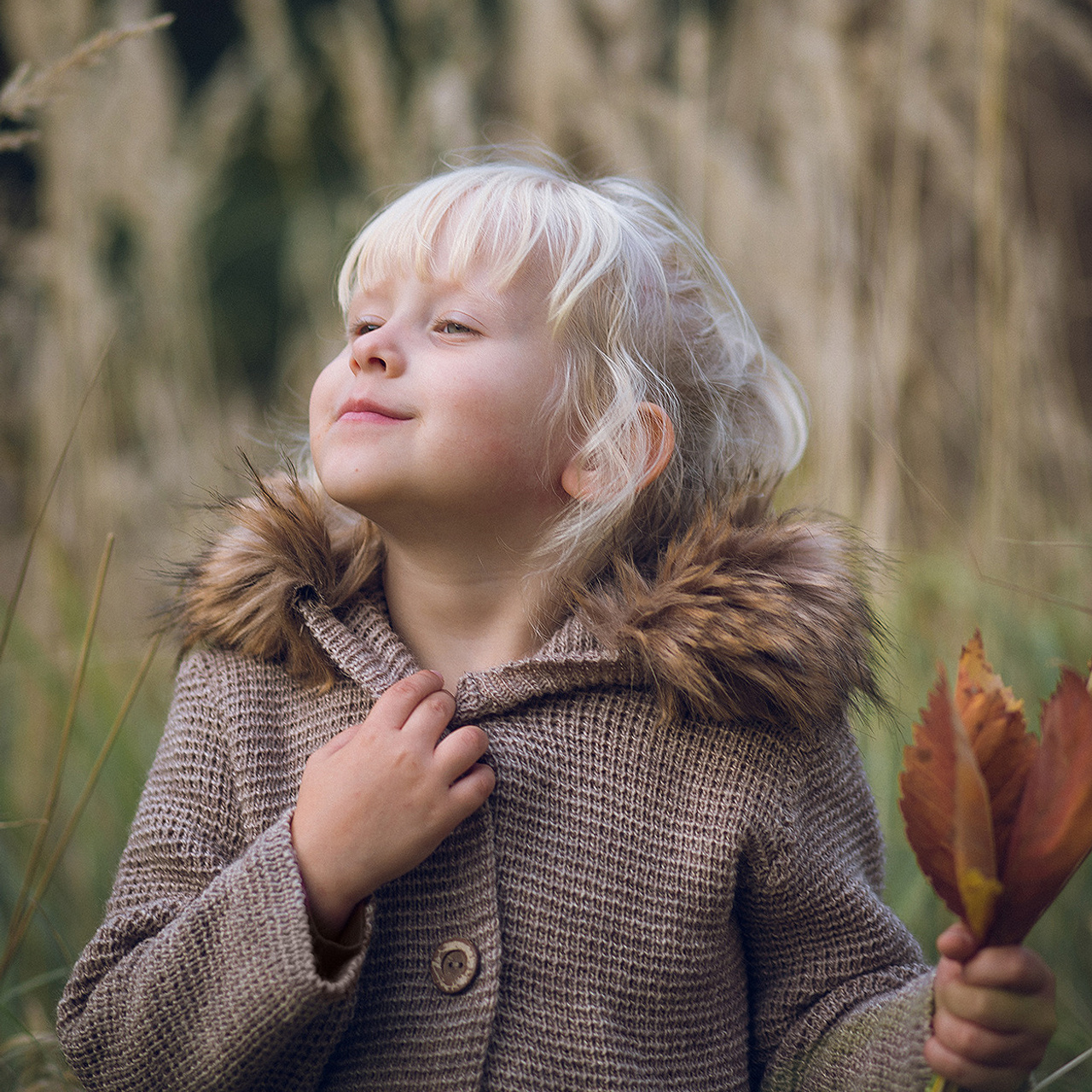 Портфолио. Главная