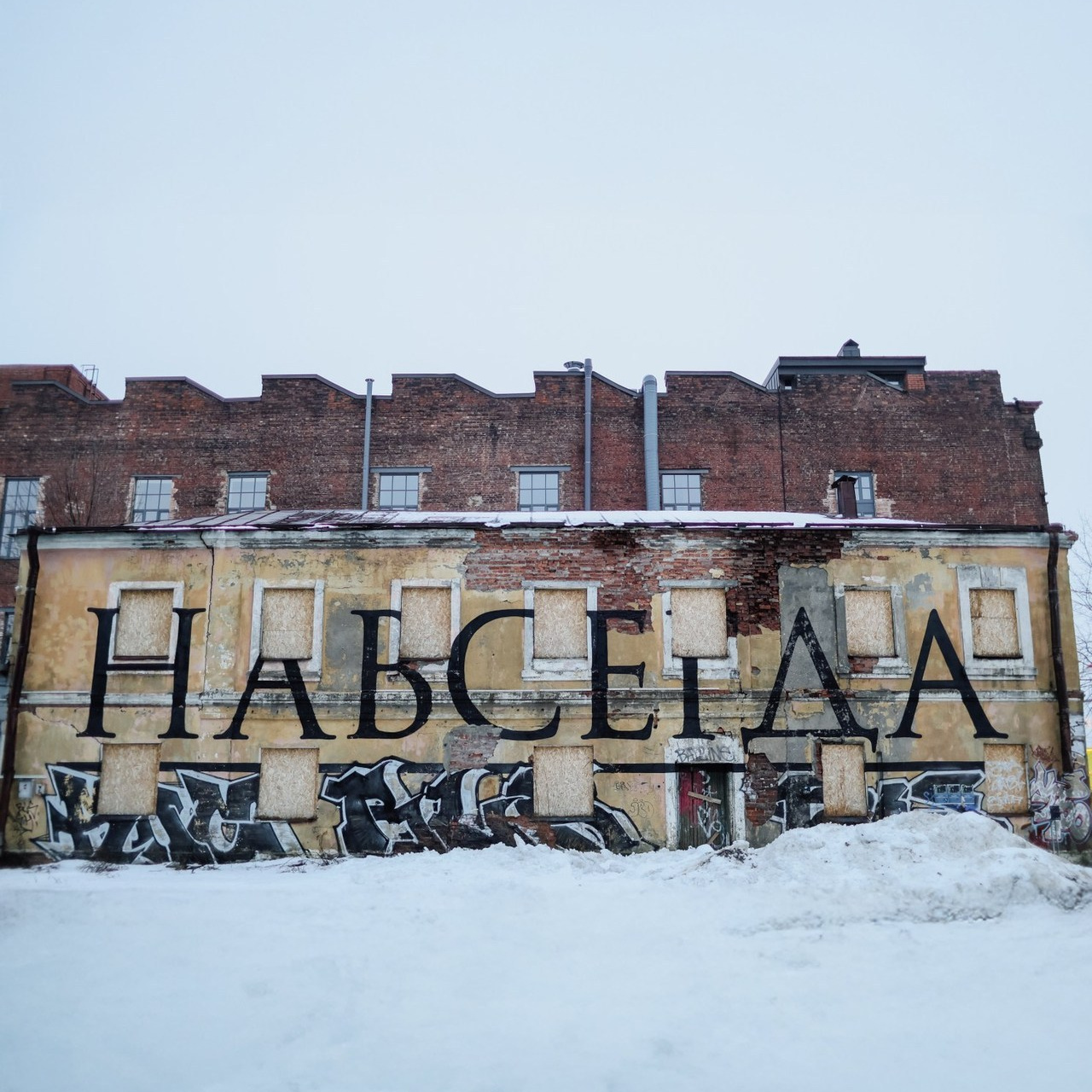 Отзывы клиентов, обратная связь. Твой снимок СПб