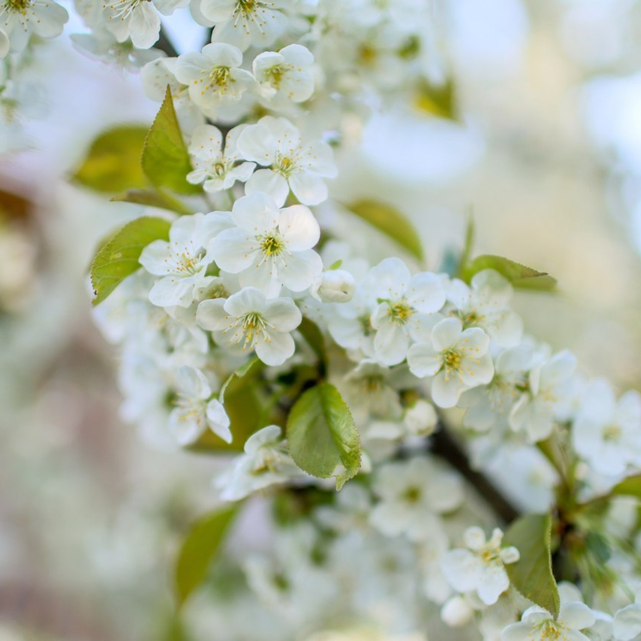 Отзывы клиентов, обратная связь. Твой снимок СПб