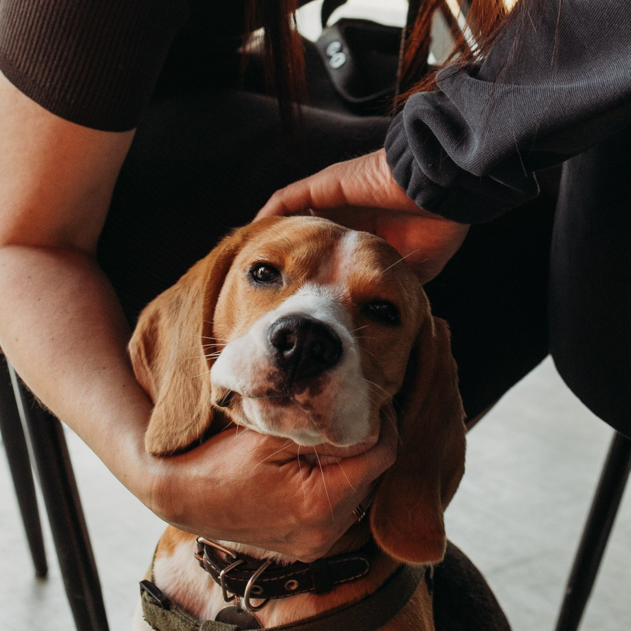 Отзывы. Фотограф Алена Свинаренко