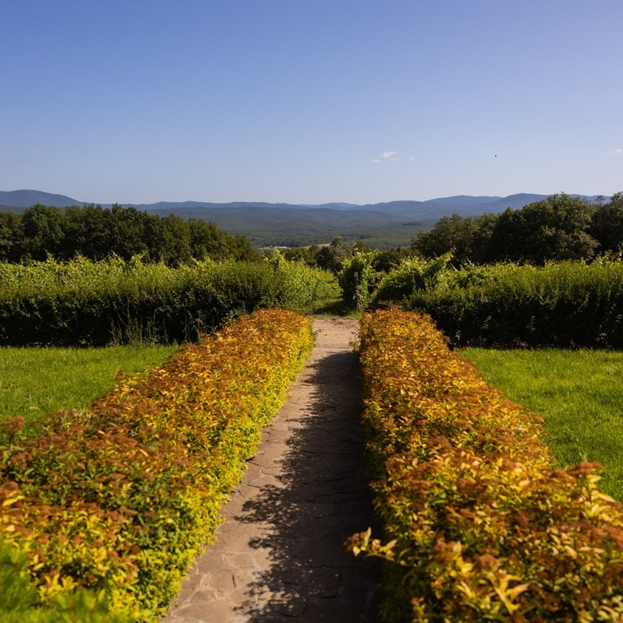 Отзывы. Фотограф в Краснодаре Дарья Коваленко