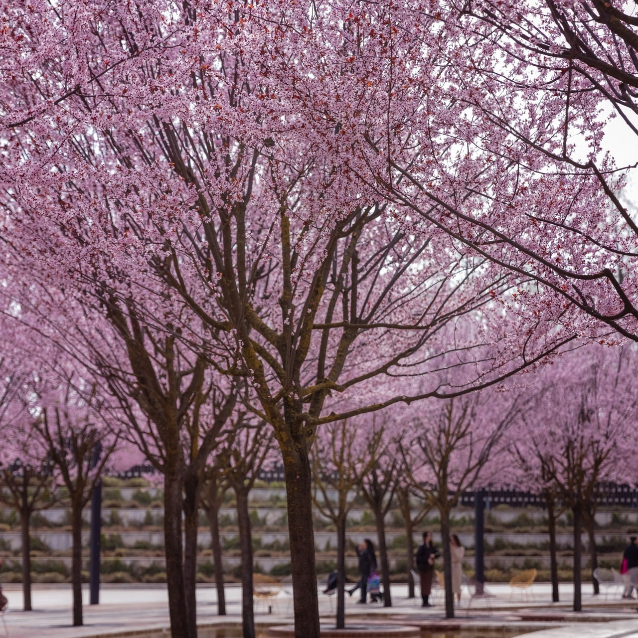 Отзывы. Фотограф в Краснодаре Дарья Коваленко