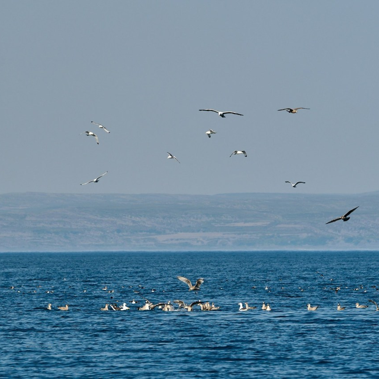 Отзывы. Анна Баженовская Женский фотограф Москва