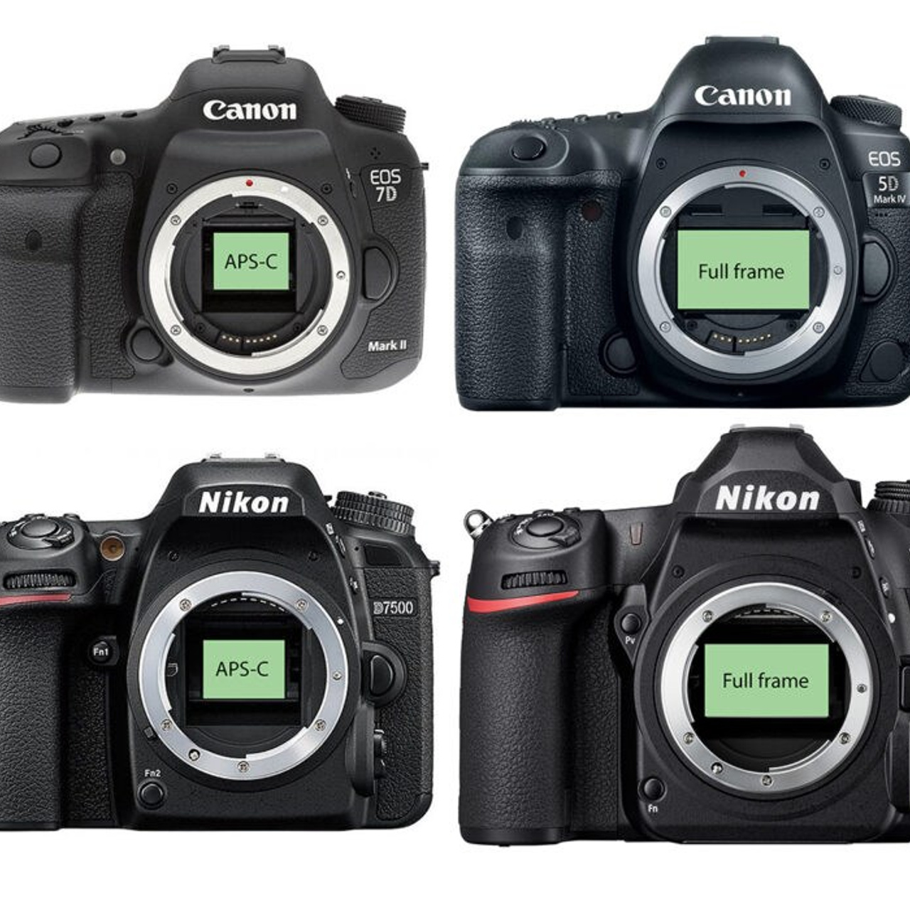 Отзывы. Женский фотограф в Москве Екатерина Борисова Туры для женщин