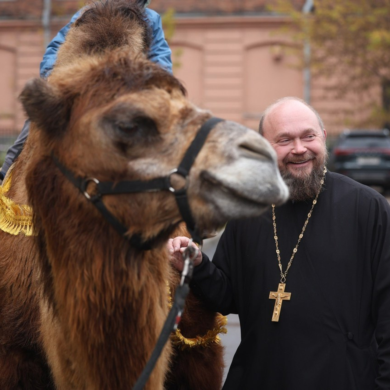 Отзывы о фотосессии новорожденных в СПб. Семейный фотограф в Санкт-Петербурге Бибаева Алла