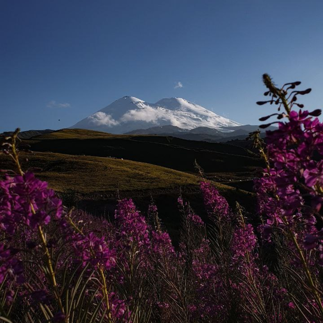 Мобилография. Климентий Киреев • Фотограф Сочи