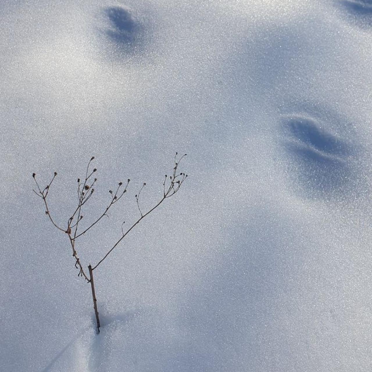 Мобилография. Климентий Киреев • Фотограф Сочи