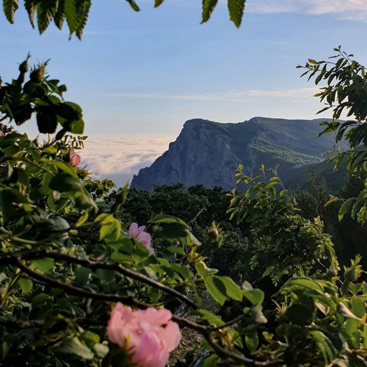 Мобилография. Климентий Киреев • Фотограф Сочи