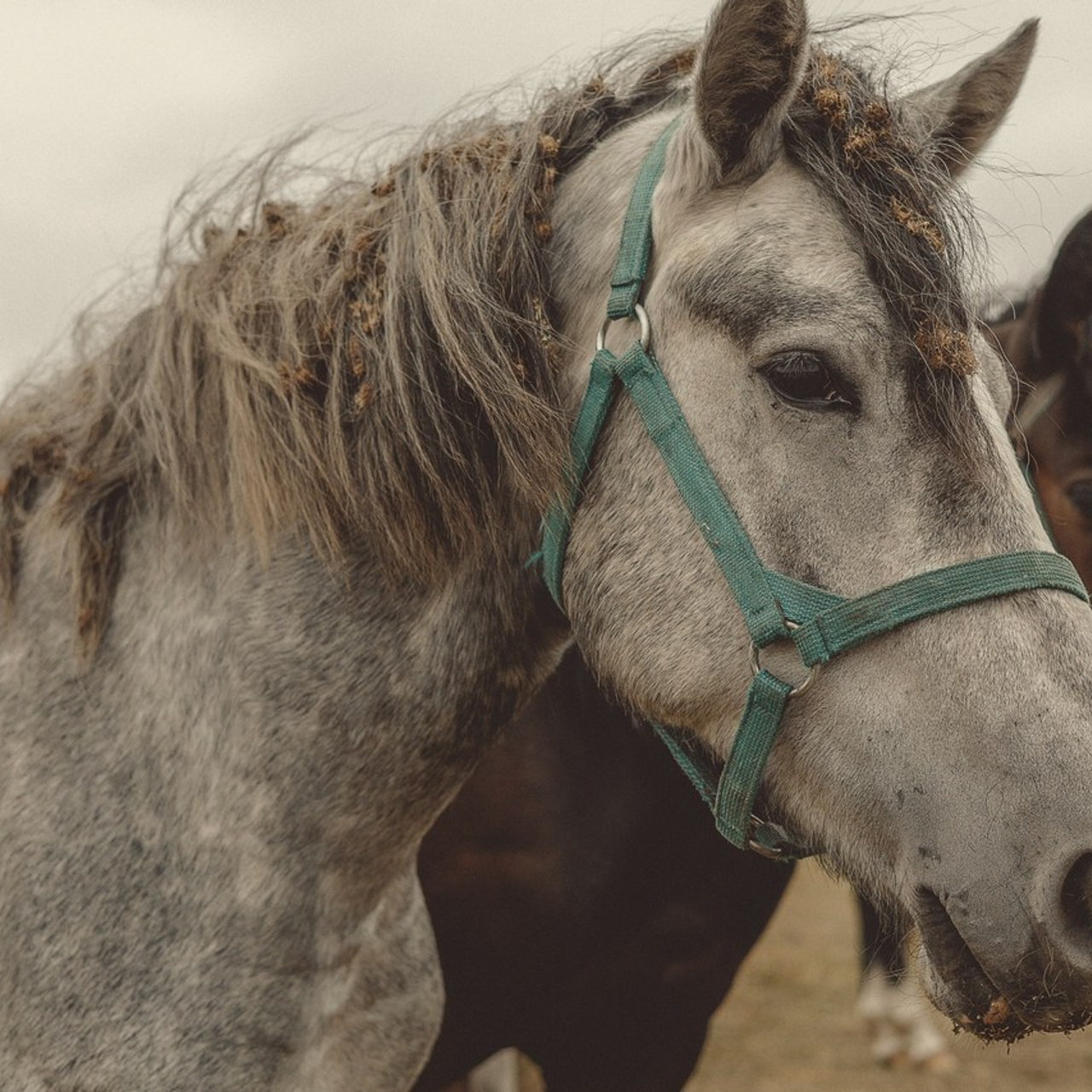 Отзывы. Фотограф Марина Кушпилева. Омск, Москва