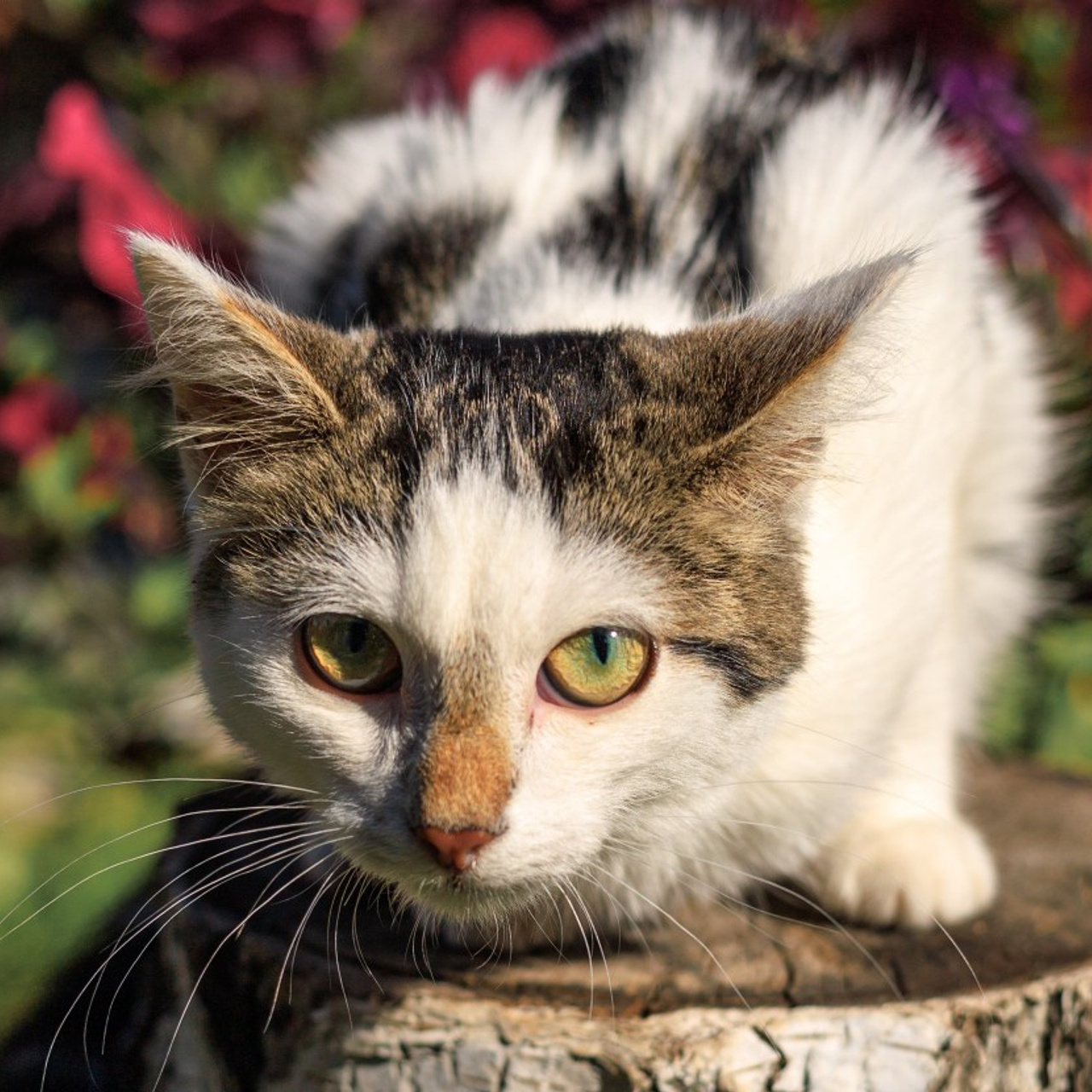 Отзывы. Фотограф Марина Кушпилева. Омск, Москва