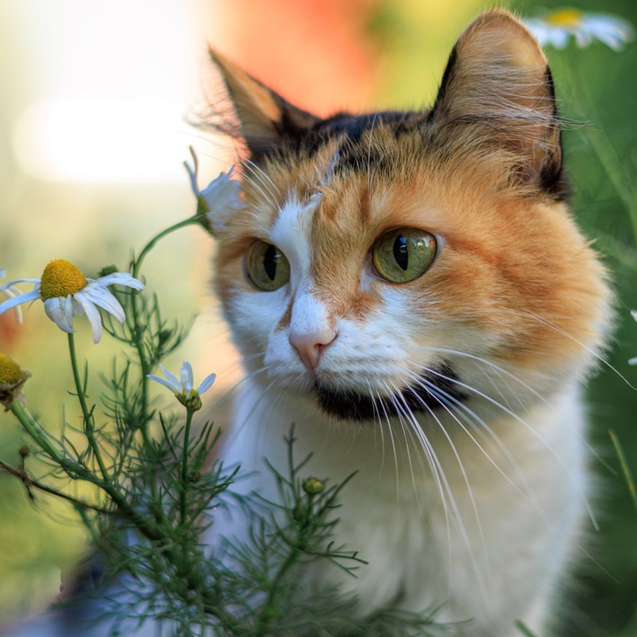 Отзывы. Фотограф Марина Кушпилева. Омск, Москва