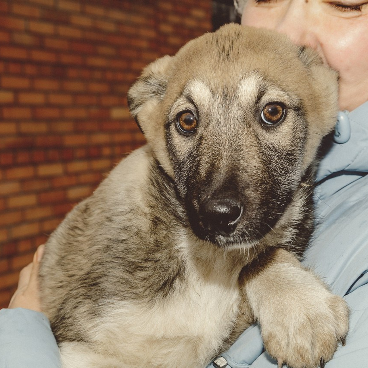 Отзывы. Фотограф Марина Кушпилева. Омск