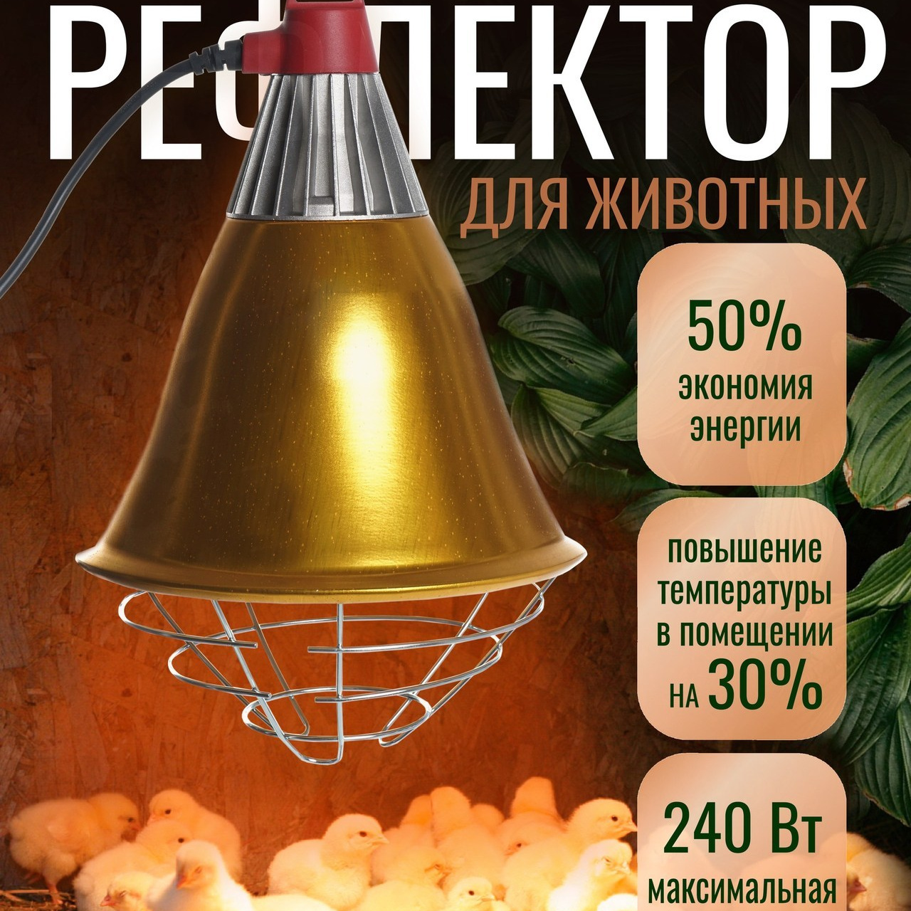 Отзывы. Фотограф для маркетплейсов _ Уметбаева Залия