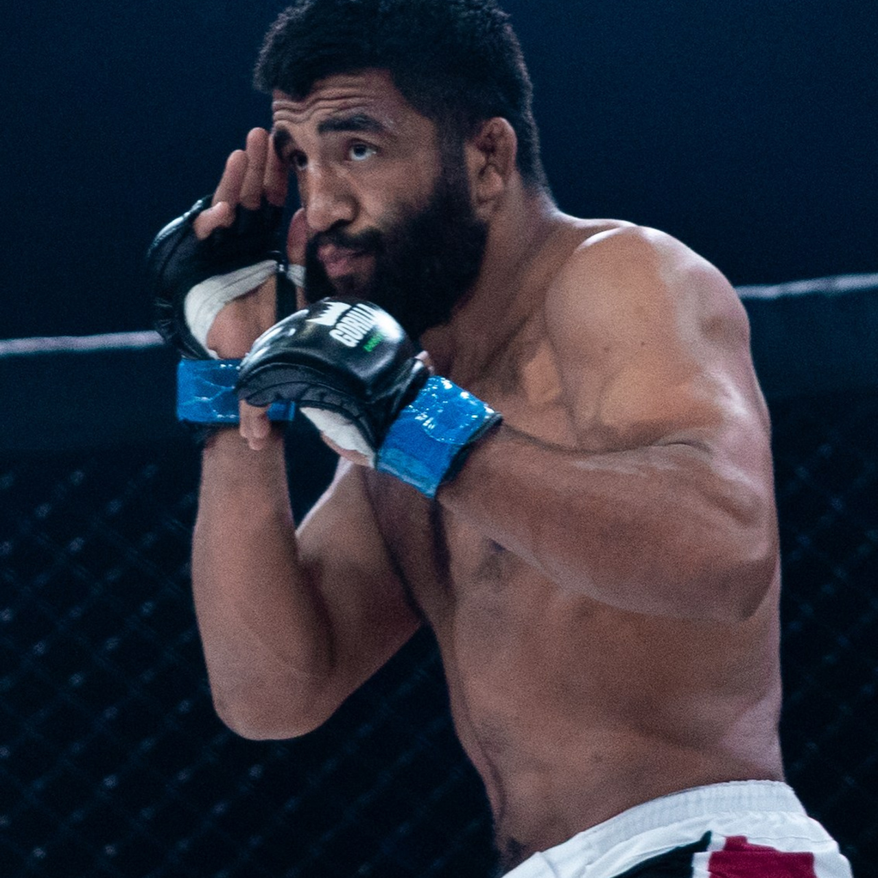 MMA/Royal Battle Show. Свадебный фотограф в Нижнем Новгороде и Москве Виктор Баринов