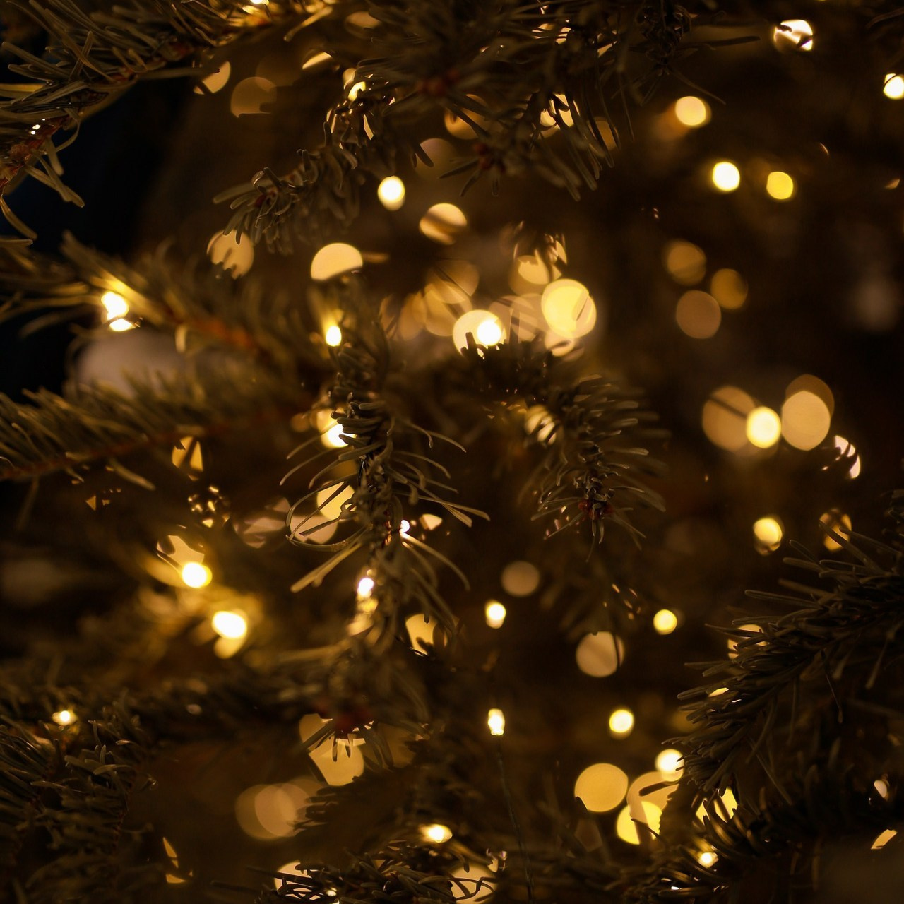 Отзывы. Репортажный и портретный фотограф Полина Ершова