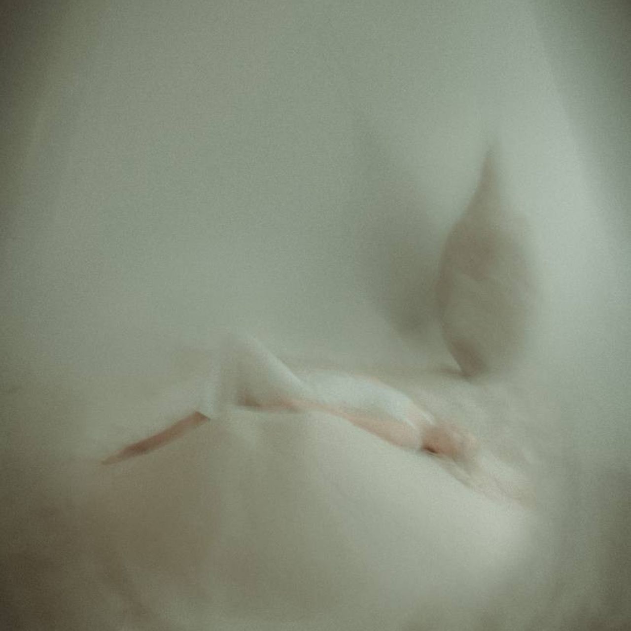 Отзывы. Фотограф Крещение Венчание Москва