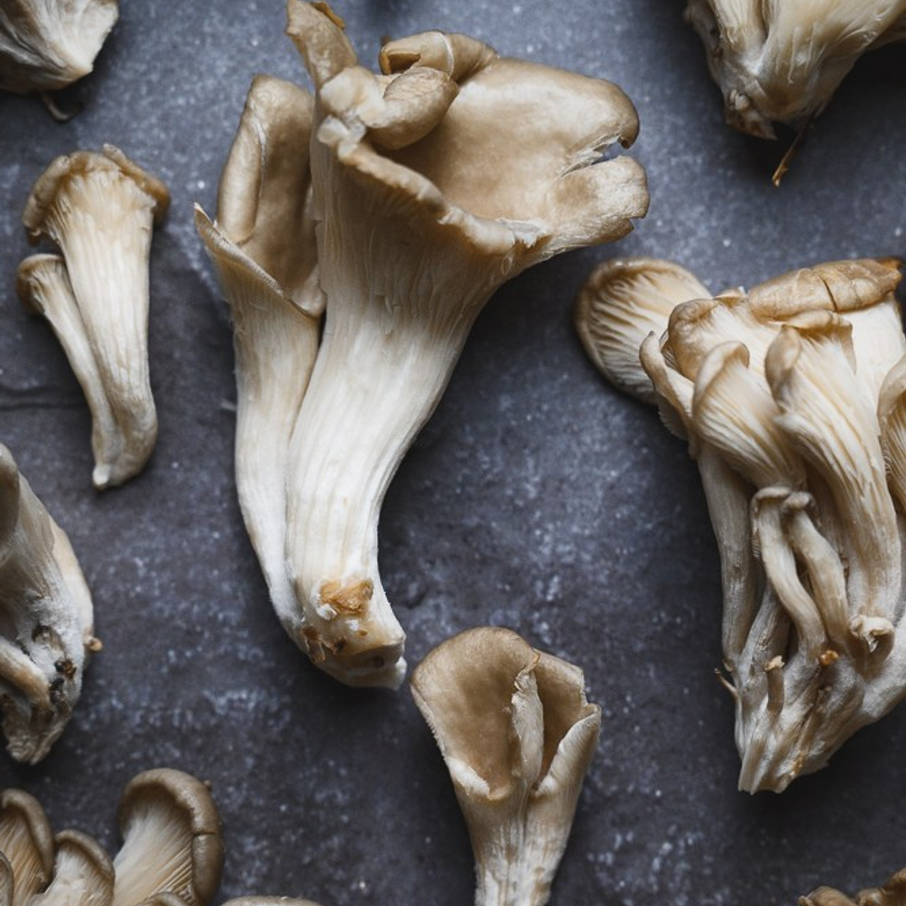 Фотограф в Санкт-Петербурге Анна Гончар