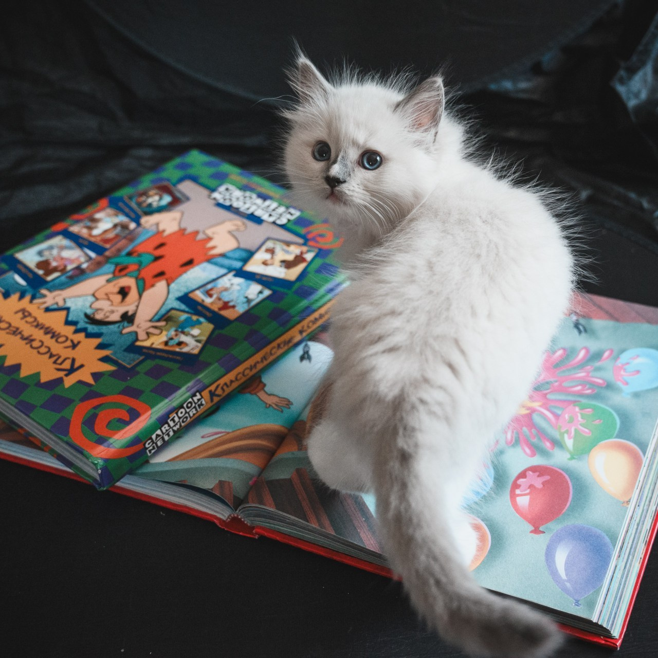 Отзывы. Фотограф в Санкт-Петербурге Анна Гончар