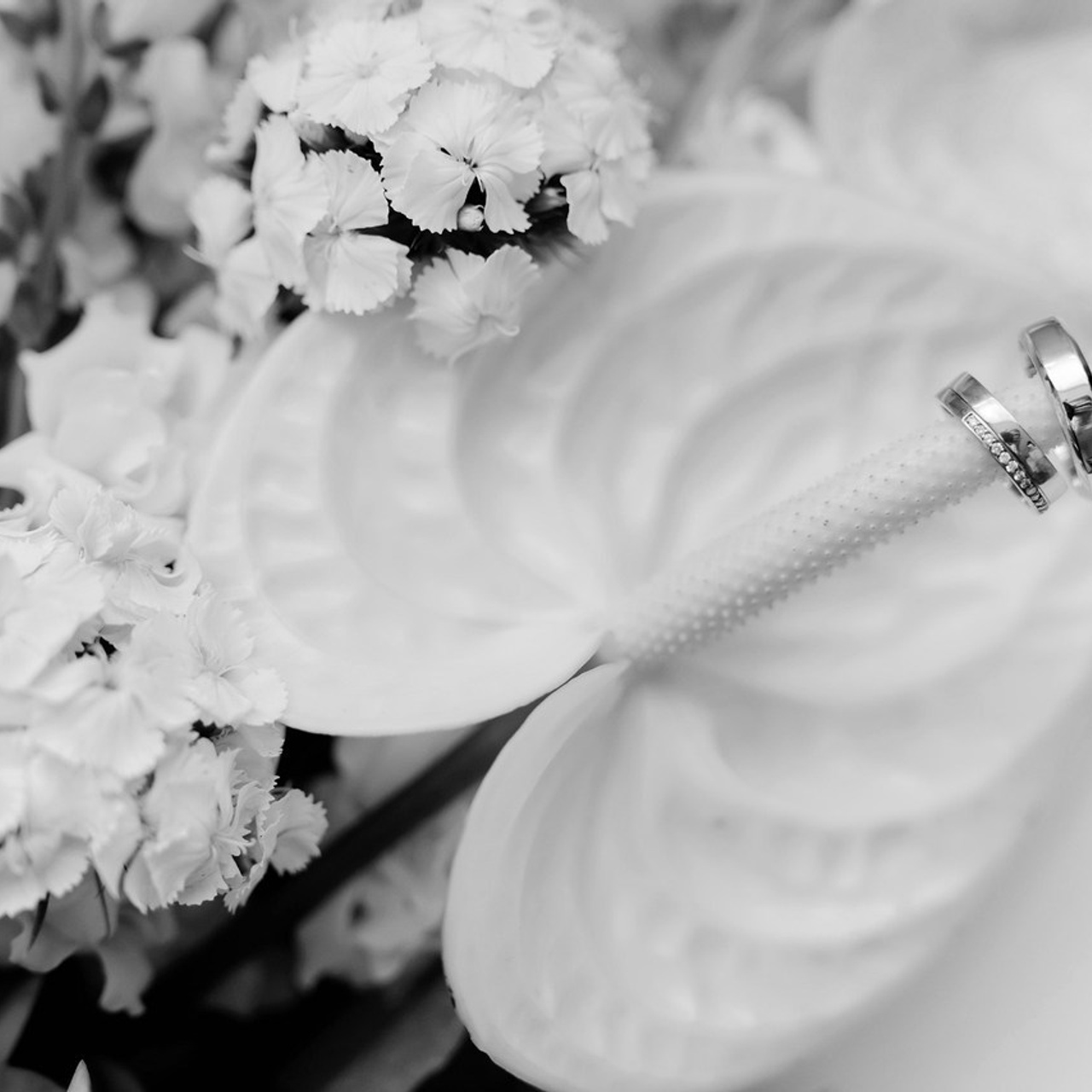 Фотограф видеограф Воронеж Липецк. Свадебное фото свадебное видео фотограф видеограф Липецк Воронеж