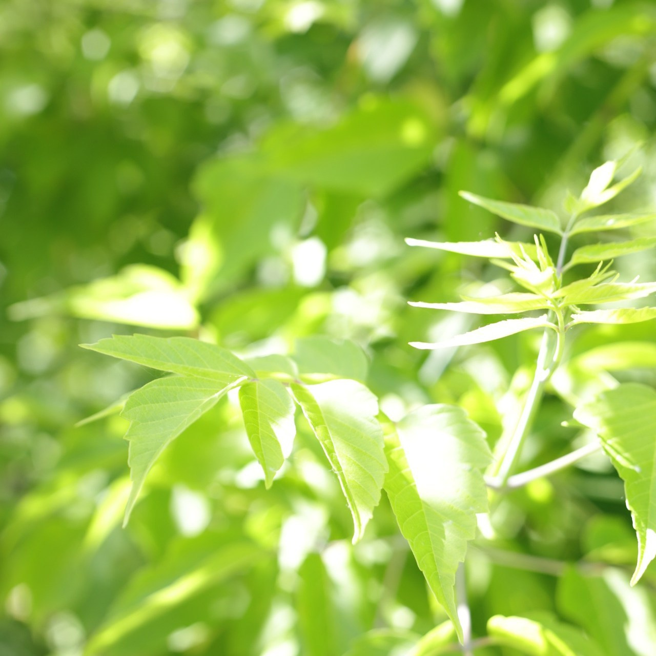 Отзывы. Фотограф Наталья Лепесей