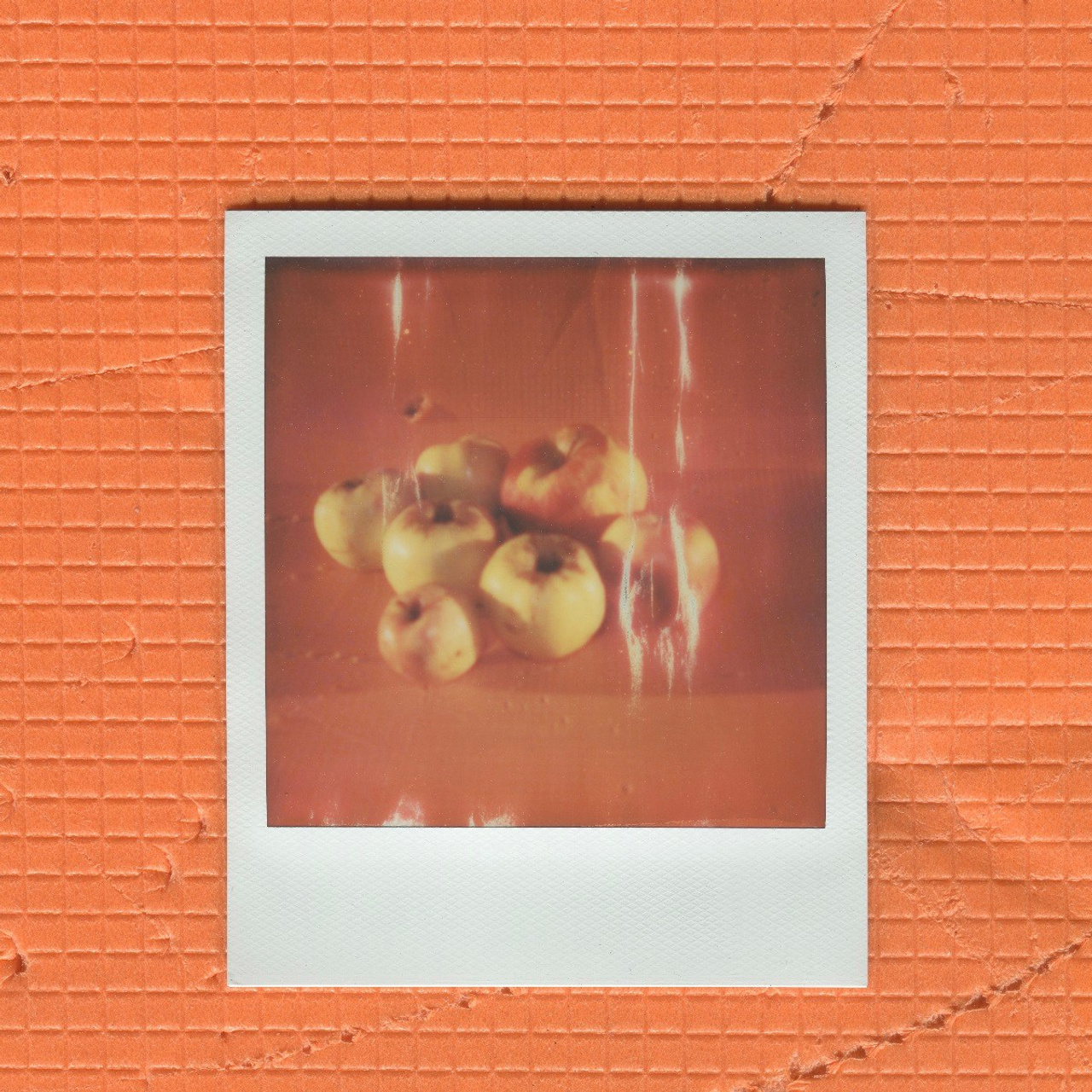 Aksenovo. Photographer Dima Sharov | Фотограф Дима Шаров