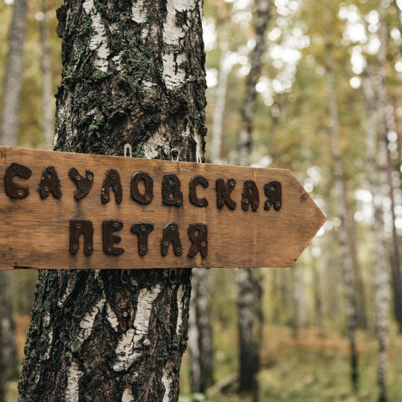 Отзывы. Фотограф в Красноярске Евдокимова Анастасия