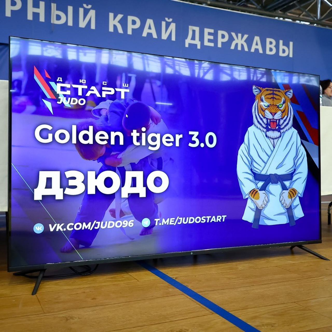 Отзывы наших клиентов. Спортивный фотограф Екатеринбург Онлайн трансляции