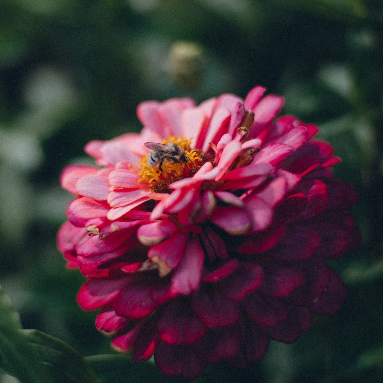 Отзывы. Фотограф Дмитрий Пименов