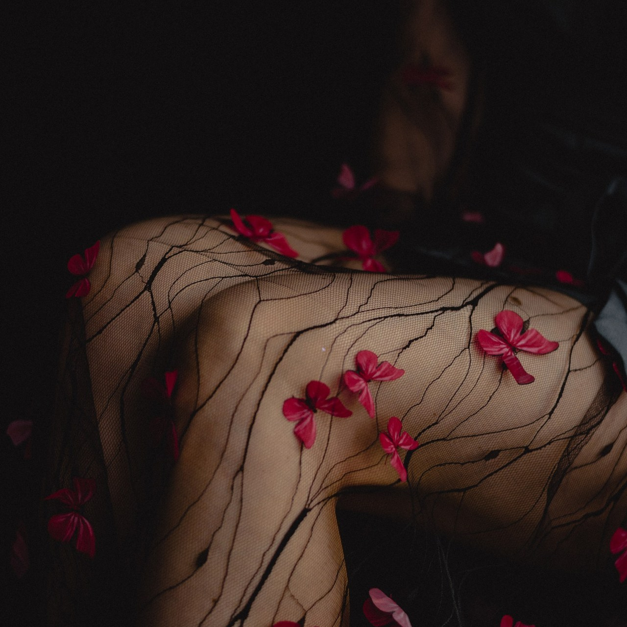 Отзывы. Фотограф в Орле и в Змиевке Екатерина Ельцова