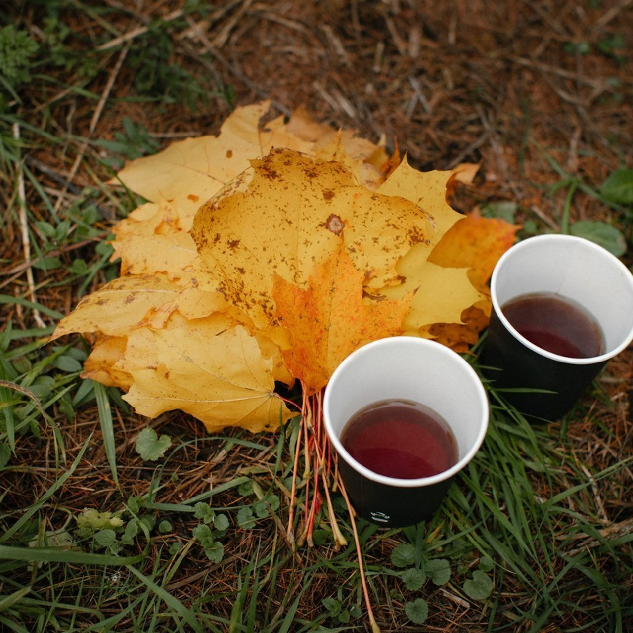 Отзывы о фотографе Скрынник Светлана. Свадебный и семейный фотограф Скрынник Светлана