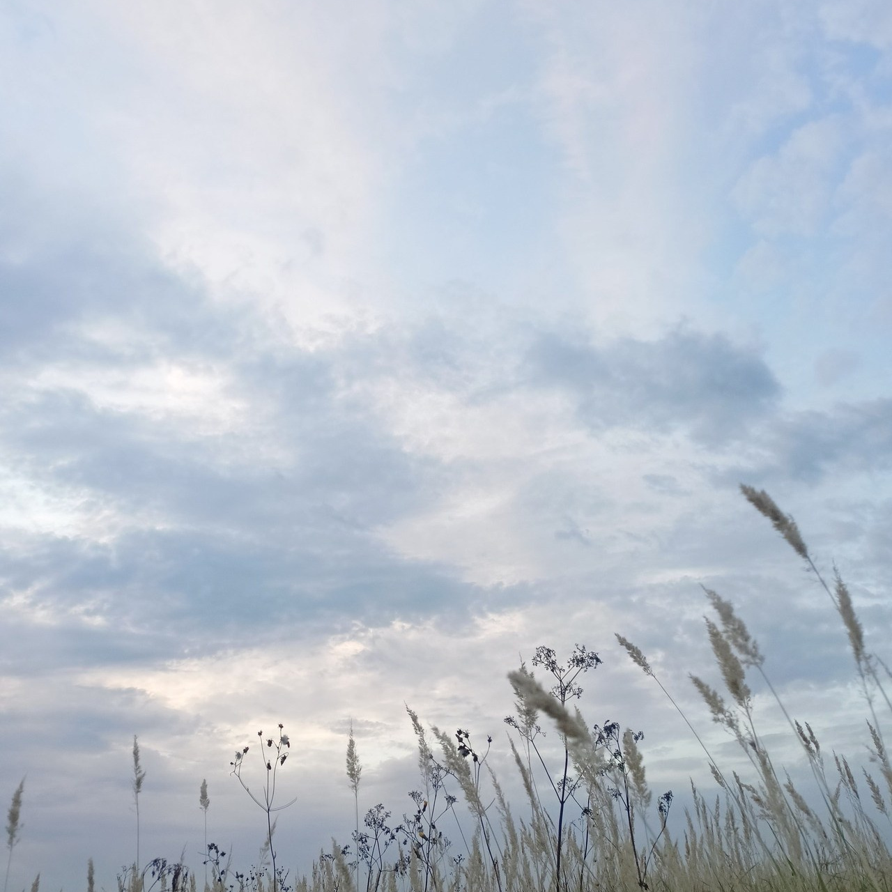 Отзывы. Фотограф, психолог в Москве, Жуковском, Раменском Галина Майлер