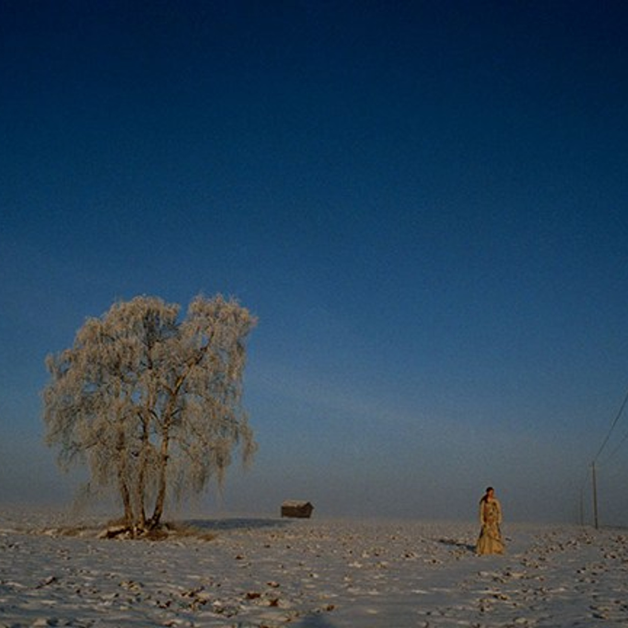 Миина Саволайнен. Фотограф, психолог в Москве, Жуковском, Раменском Галина Майлер