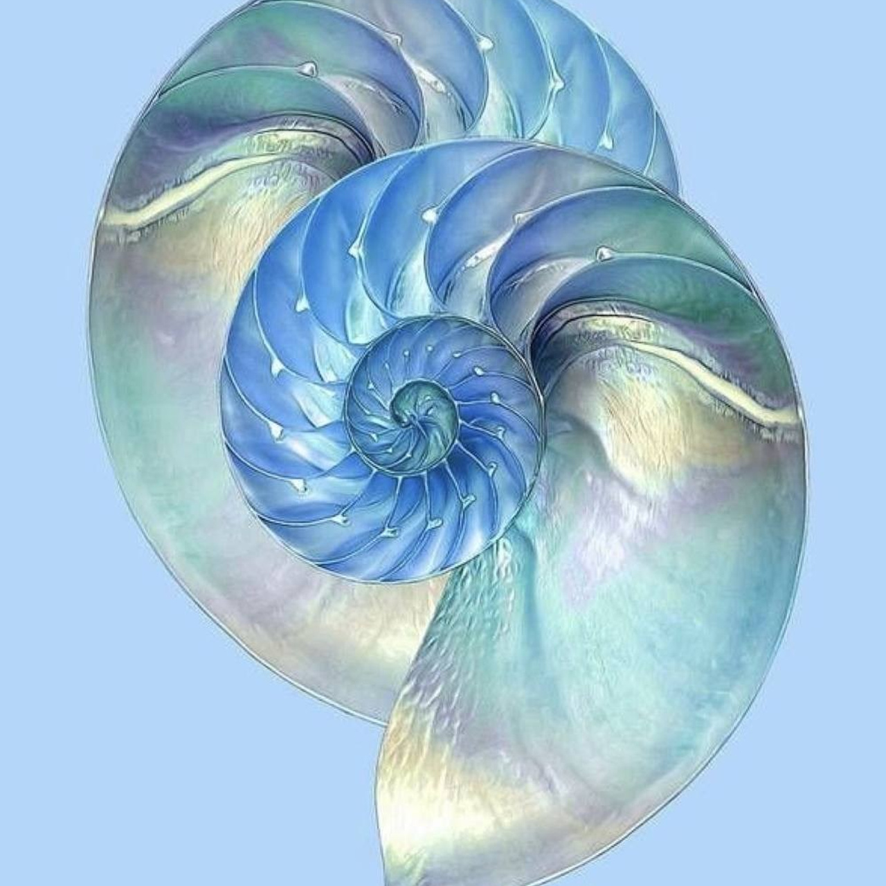 Отзывы. Фотограф, психолог в Москве, Жуковском, Раменском Галина Майлер