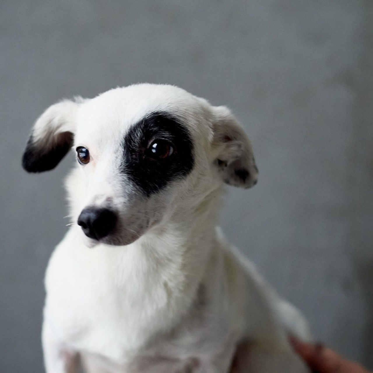 Отзывы. Фотограф, психолог в Москве, Жуковском, Раменском Галина Майлер